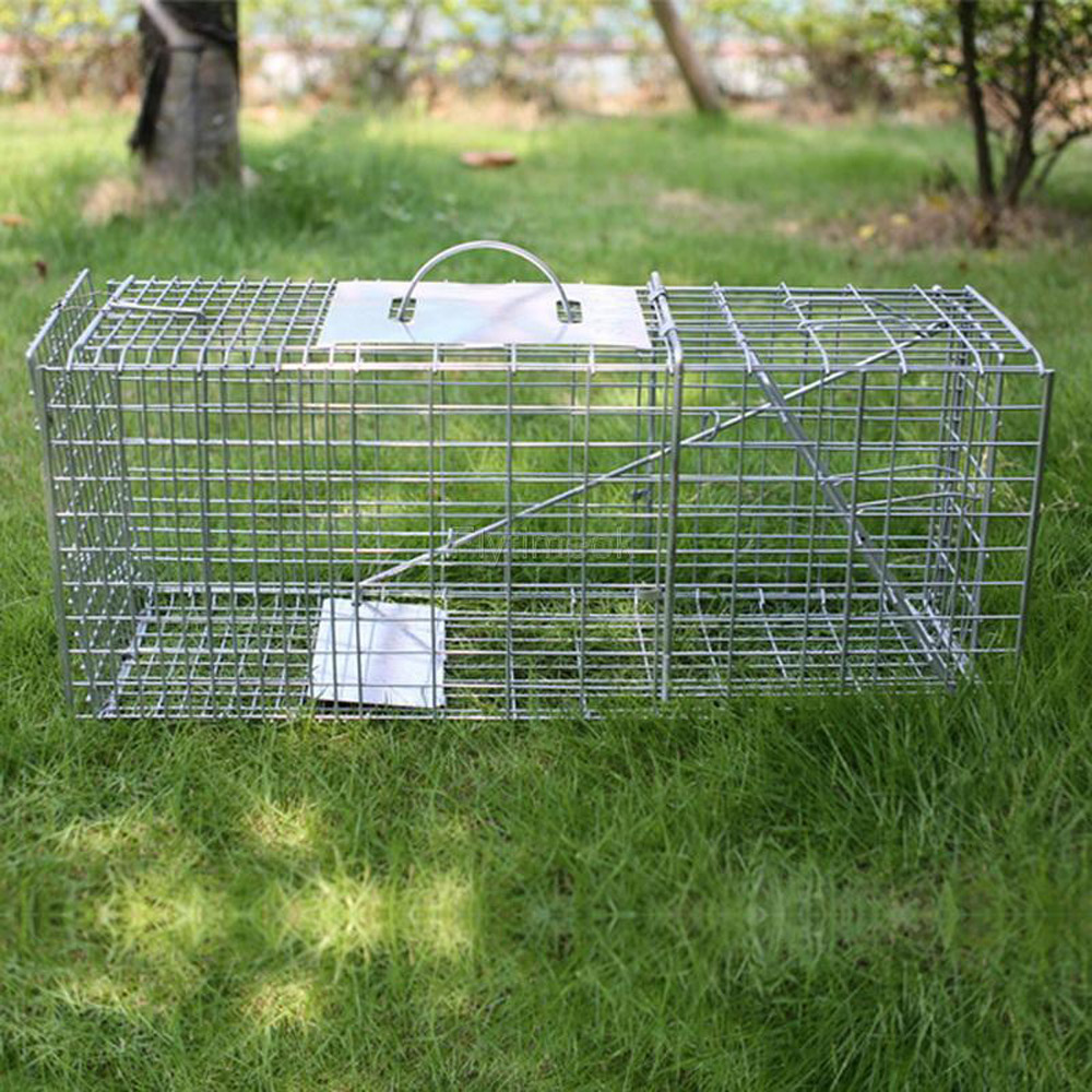 Animal Trap Humane Enkulu Steel Cage Rodent Control Wire Cage Trap