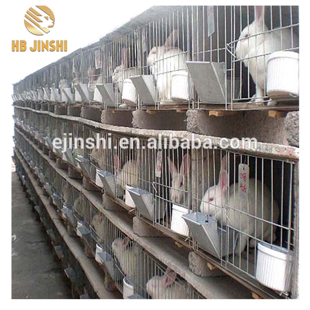 Cages d'animaux galvanisées Cages de volaille de lapin