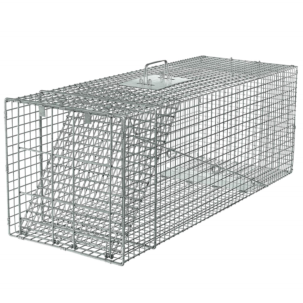 32" Humane Animal Trap Steel Cage para sa Live Rodent Control Rat Squirrel Raccoon