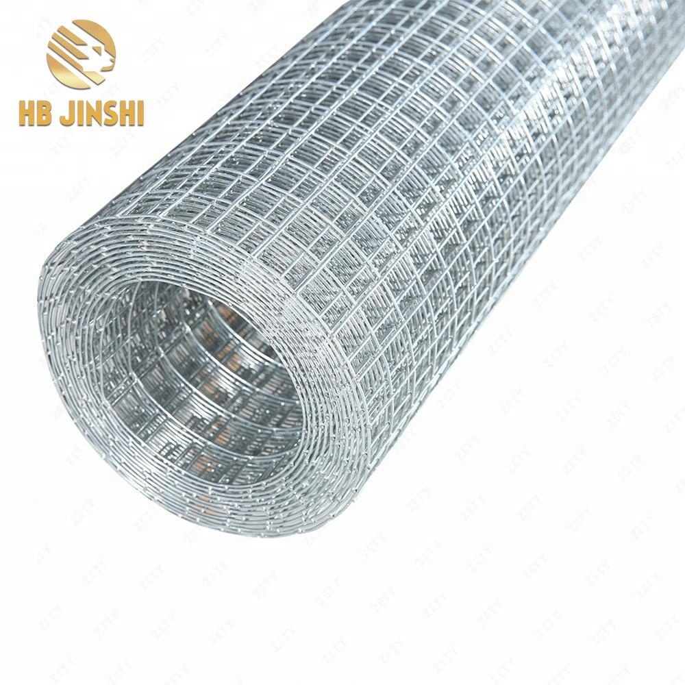 1/2" hot dipped galvanized welded wire mesh