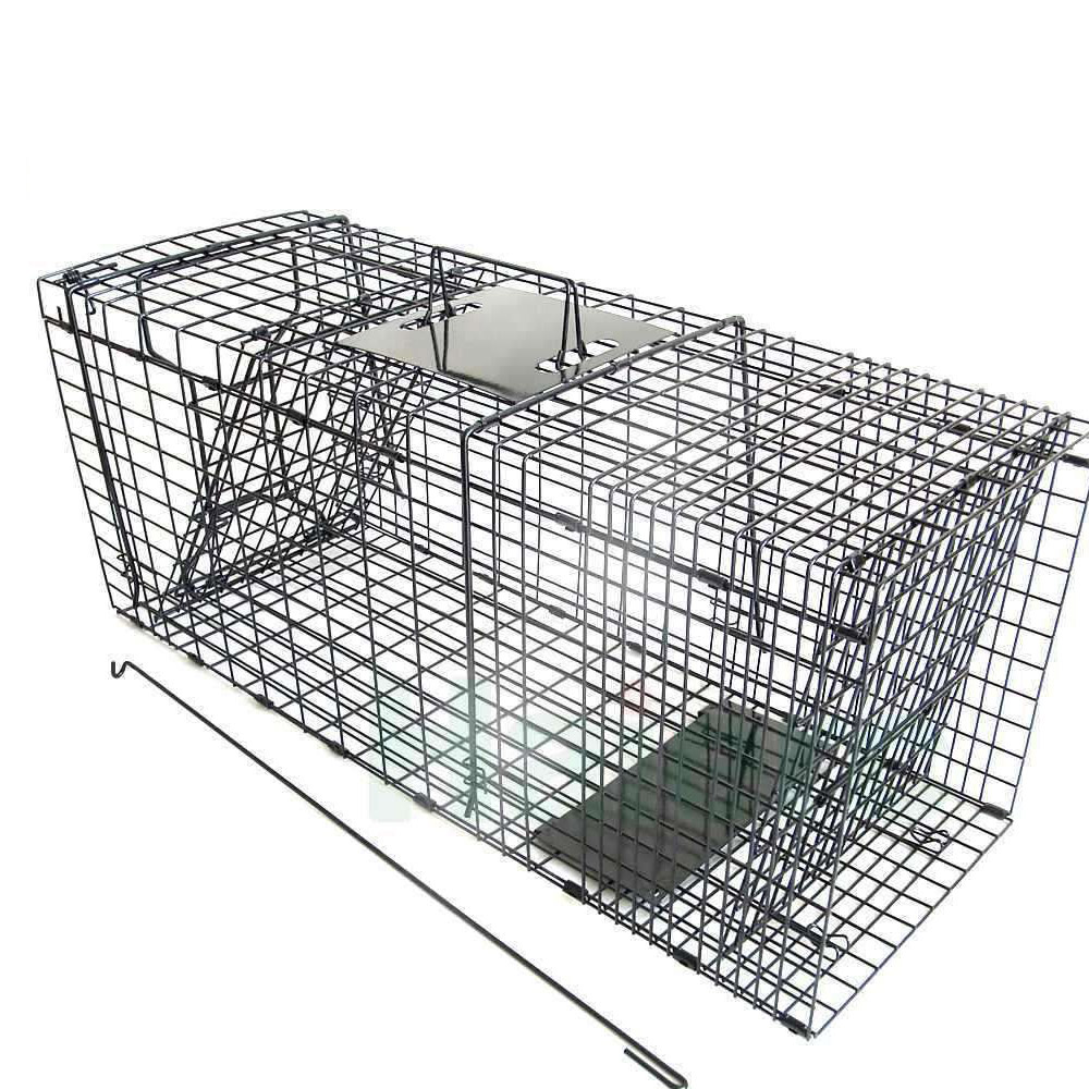 Phila Animal Cage Trap Humane Opposum Trap Cat Raccoon Trap
