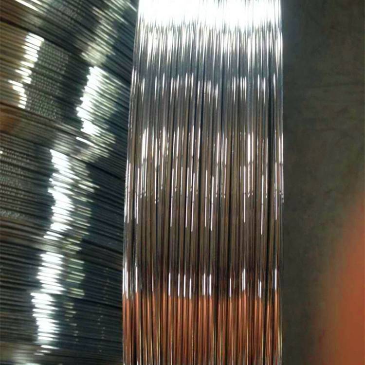 Hot sales 2.4 * 3.0 mm Brazil merkado Galvanized oval steel wire