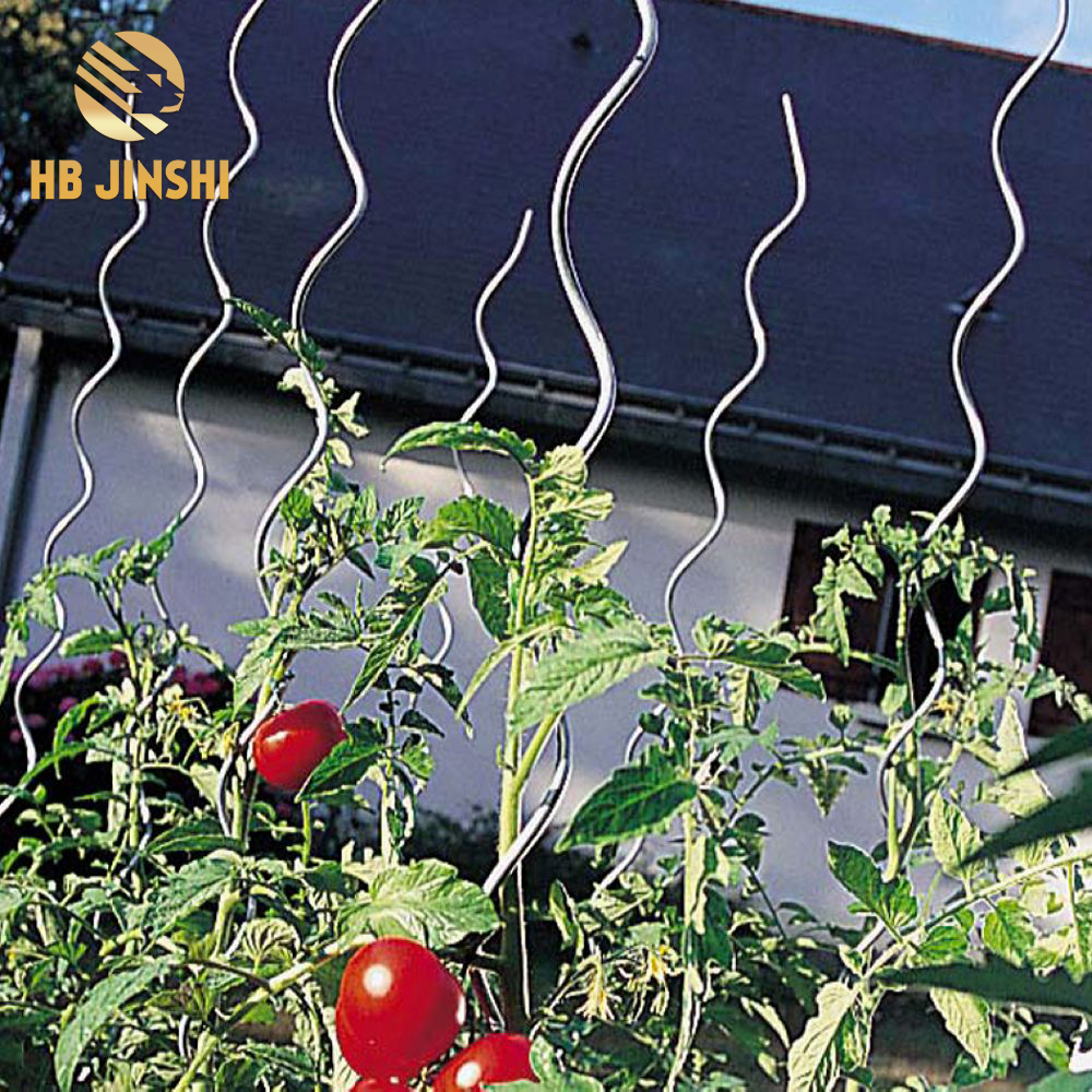 Certificatu ISO9001 14001 Prezzu Prezzu di Alta Qualità 180cm Lunghezza Supportu di Cultivazione di Tomate Per u Design di Giardinu