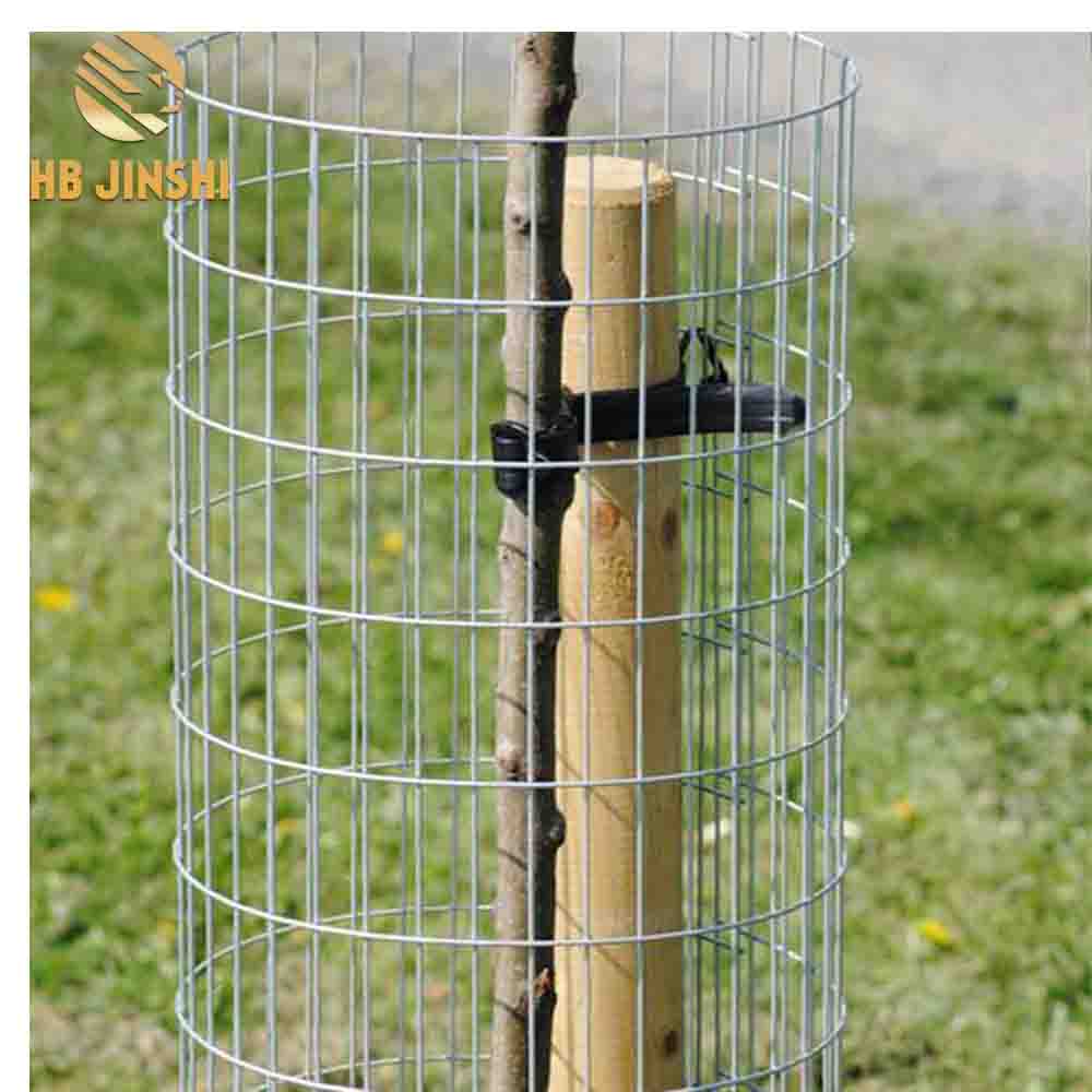 12 G Wire Welded Mesh Tree Fence