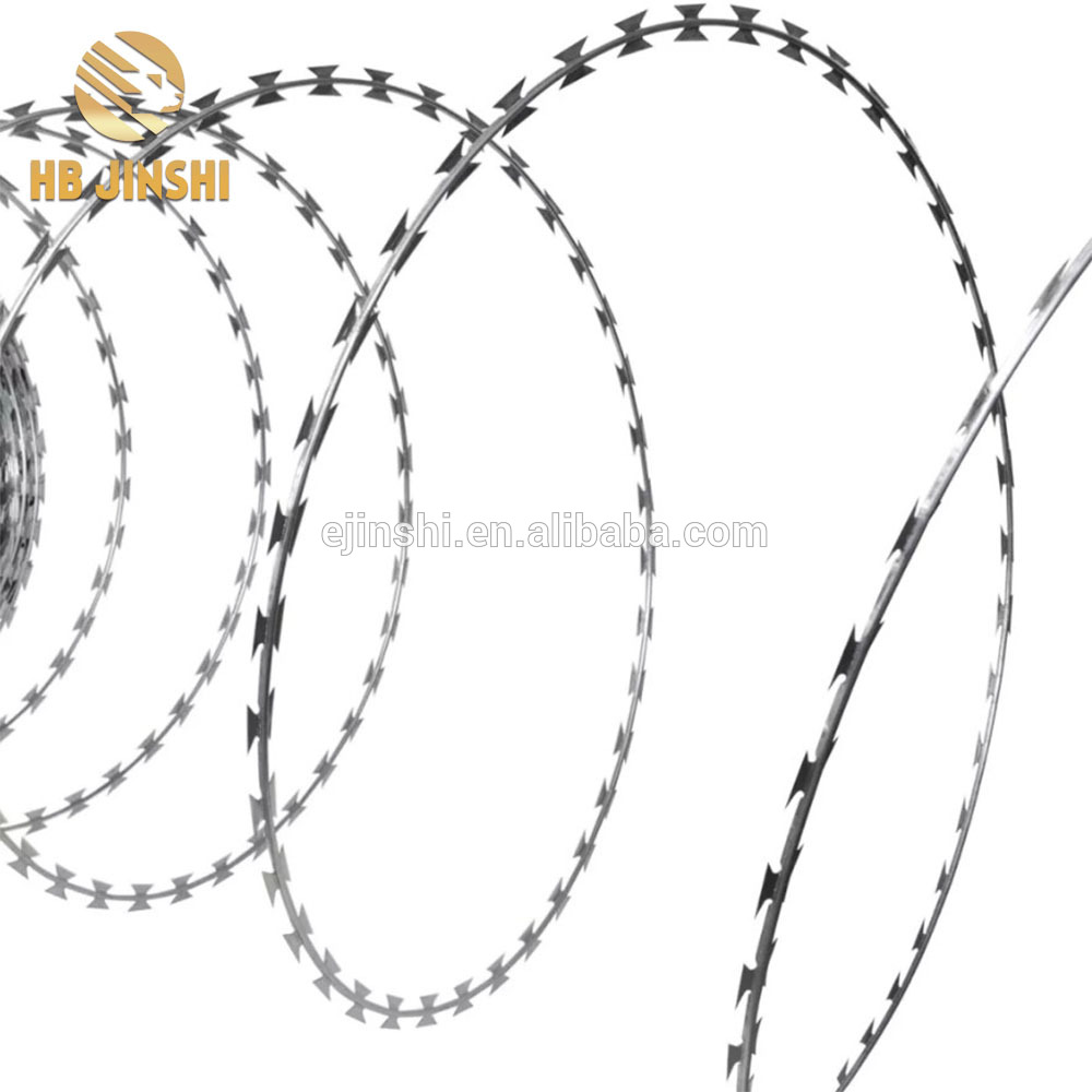 Military Concertina wire Razor wire razor ribbon wire