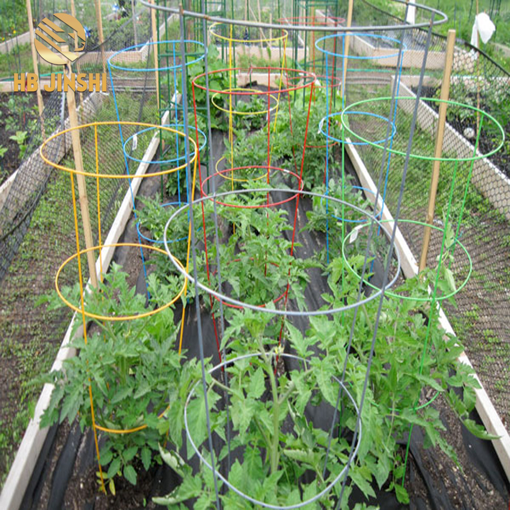 30"x18" Metal Cone Galvanized Tomat Cage Plant Dhukungan