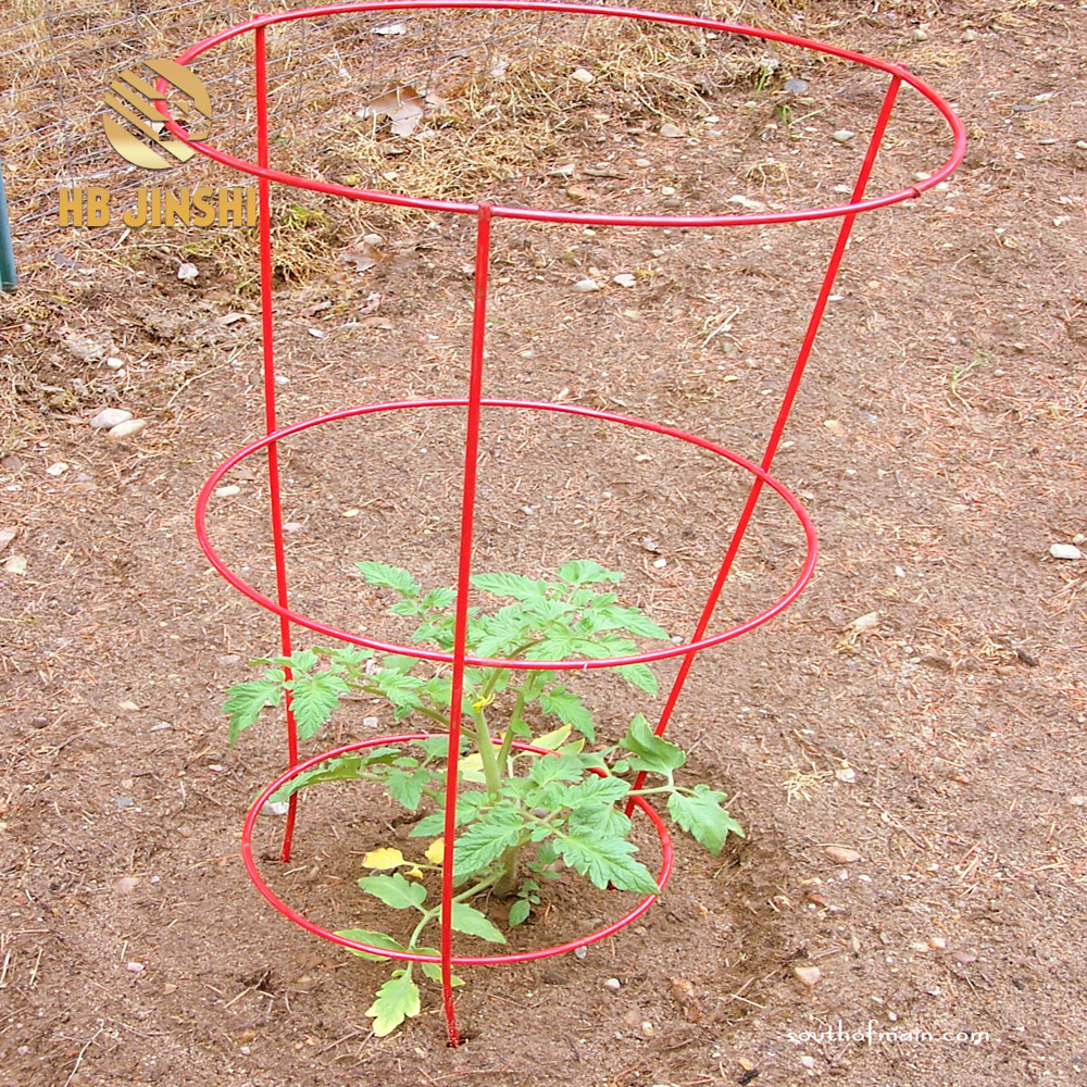 Iron Flower Climbing Support Plant Grow Cage yokhala ndi mphete 3-4