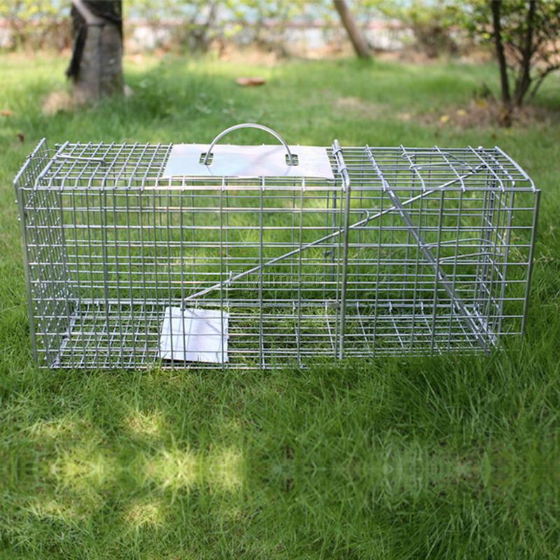 36"x13.5"x12" cage à piège à animaux humains pliable pour rat & opossum & proton & chat sauvage