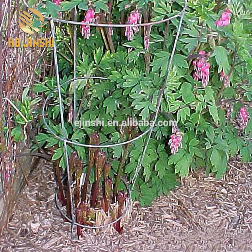 42"x14" Conical Plant Support Cage for Peony