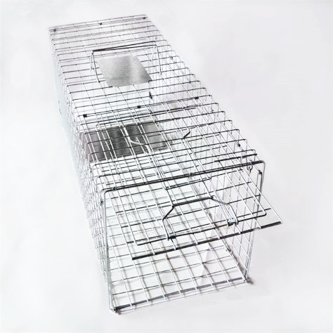 31" collapsible humane raccoon trap cage para sa possum ug ihalas nga iring
