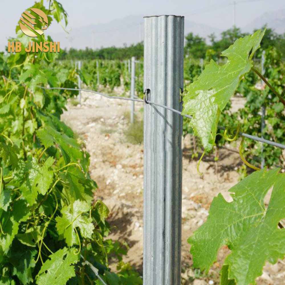 50*34 mm Heavy Duty galvaniserte vingårdsspalier for druestolper