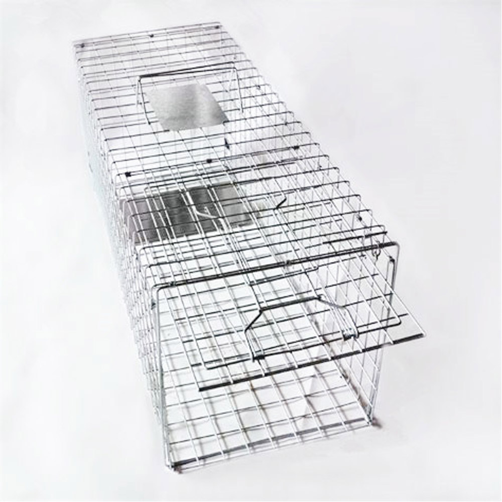Piauau Tiango Mohoao Raccoon Wire Cage Rore