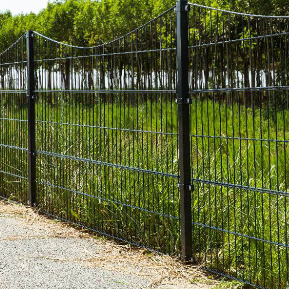 6/5/6mm 8/6/8mm Double Wire Welded Mesh Fence Panel