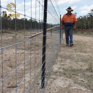 Black Bitumen Metal Fence Y shape Post Star picket