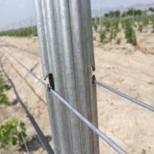 Poste del enrejado del viñedo del poste del acero galvanizado de la fábrica del certificado de ISO9001 ISO14001 Z